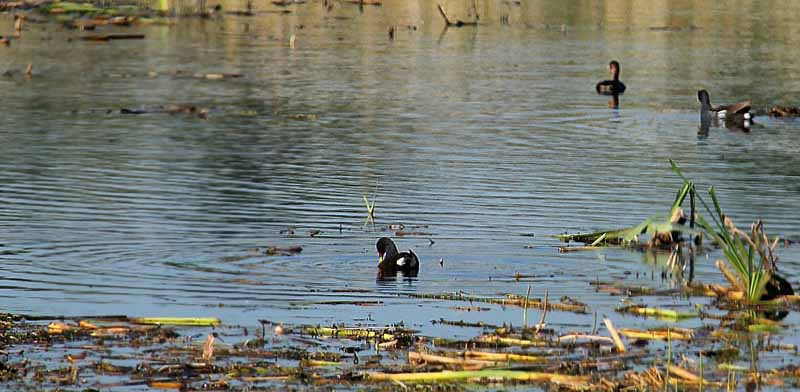 Photograph of Walking Route - Image 71