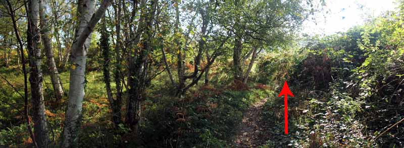 Photograph of Walking Route - Image 74