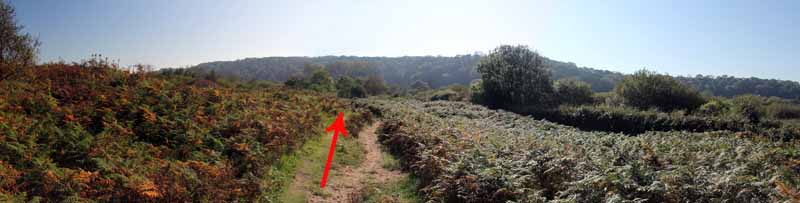 Photograph of Walking Route - Image 75