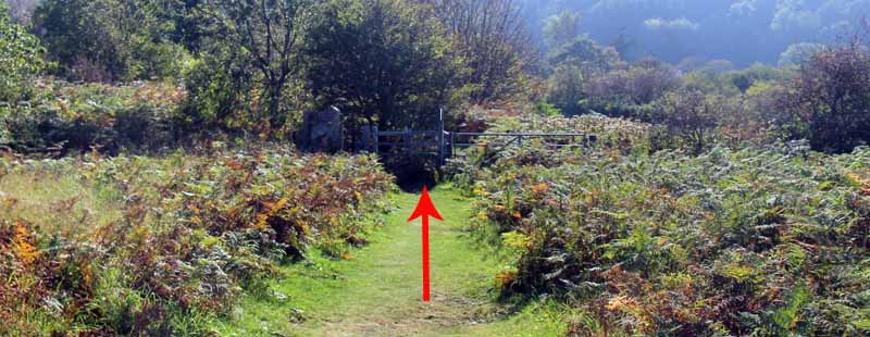 Photograph of Walking Route - Image 76