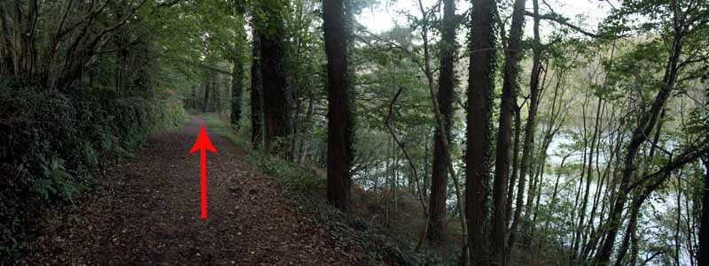 Photograph of Walking Route - Image 17