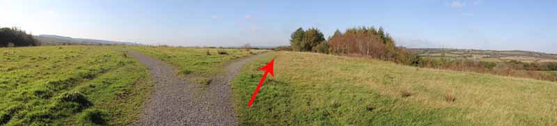 Photograph of Walking Route - Image 5