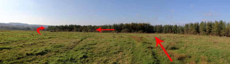 Photograph of Walking Route - Image 10