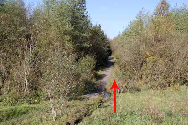 Photograph of Walking Route - Image 12