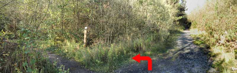 Photograph of Walking Route - Image 13