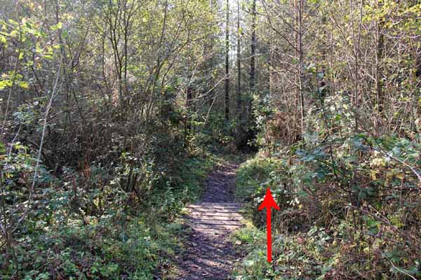 Photograph of Walking Route - Image 14