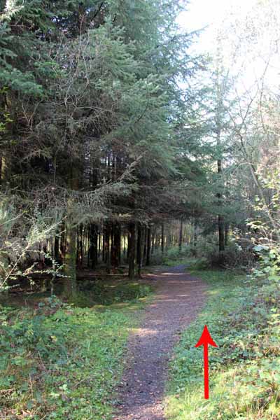 Photograph of Walking Route - Image 15