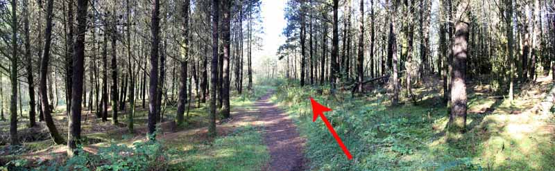 Photograph of Walking Route - Image 17