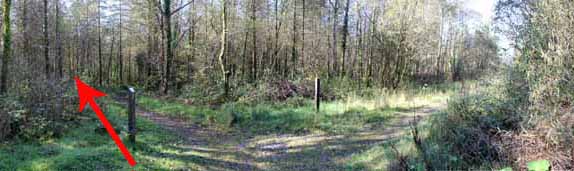 Photograph of Walking Route - Image 18