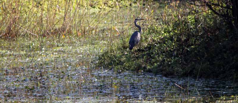 Photograph of Walking Route - Image 27
