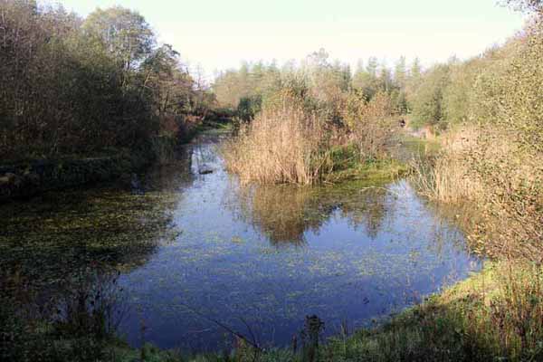 Photograph of Walking Route - Image 30