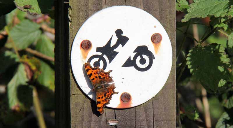 Photograph of Walking Route - Image 32