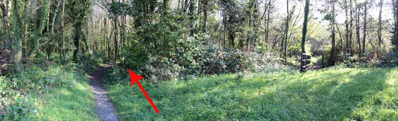 Photograph of Walking Route - Image 37