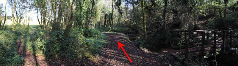 Photograph of Walking Route - Image 38