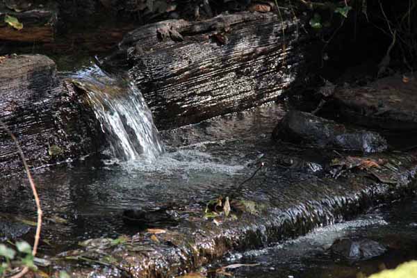 Photograph of Walking Route - Image 39