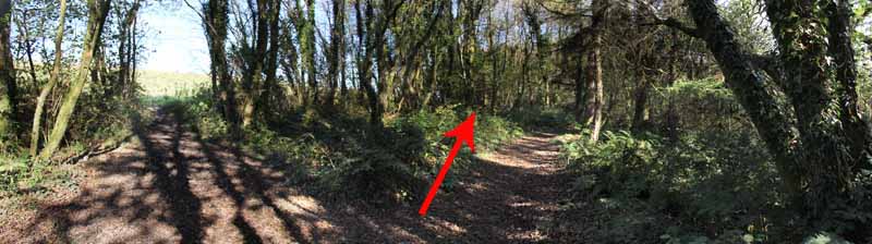 Photograph of Walking Route - Image 41