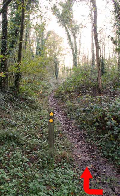Photograph of Walking Route - Image 21