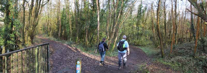 Photograph of Walking Route - Image 9