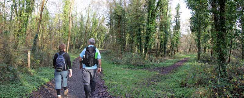 Photograph of Walking Route - Image 10