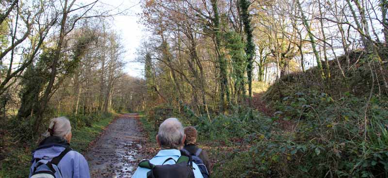 Photograph of Walking Route - Image 14