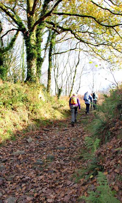 Photograph of Walking Route - Image 15