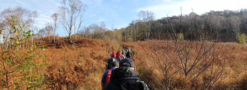 Photograph of Walking Route - Image 16