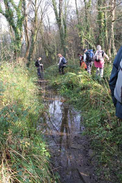 Photograph of Walking Route - Image 17