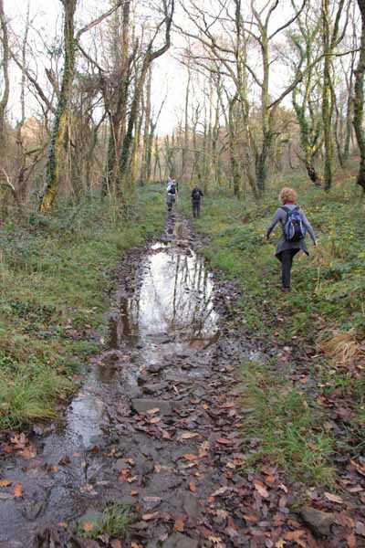 Photograph of Walking Route - Image 18