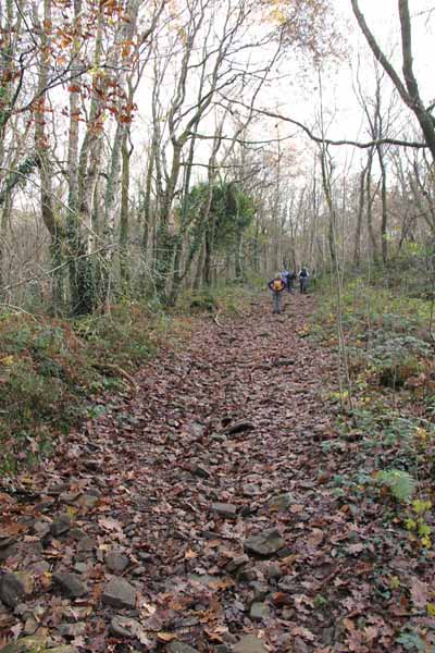 Photograph of Walking Route - Image 19