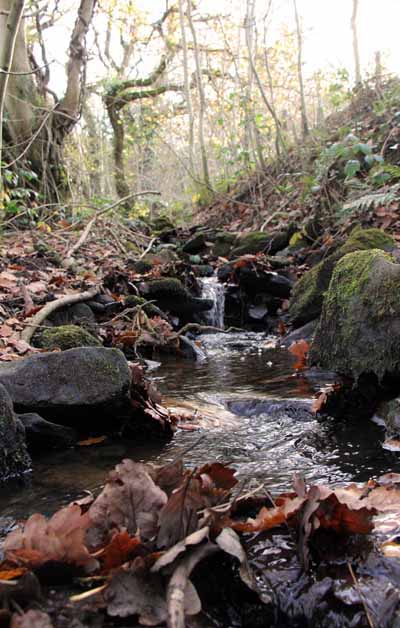 Photograph of Walking Route - Image 21