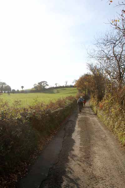 Photograph of Walking Route - Image 24