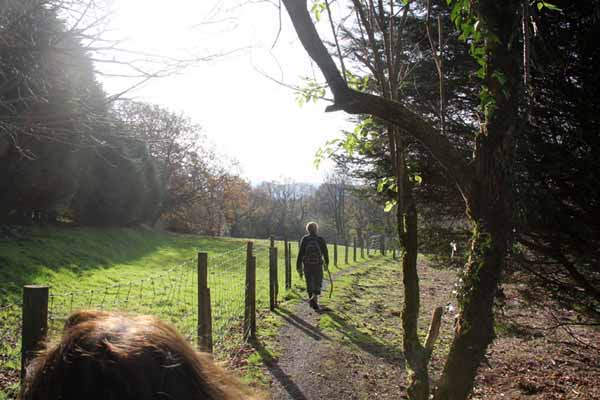 Photograph of Walking Route - Image 35