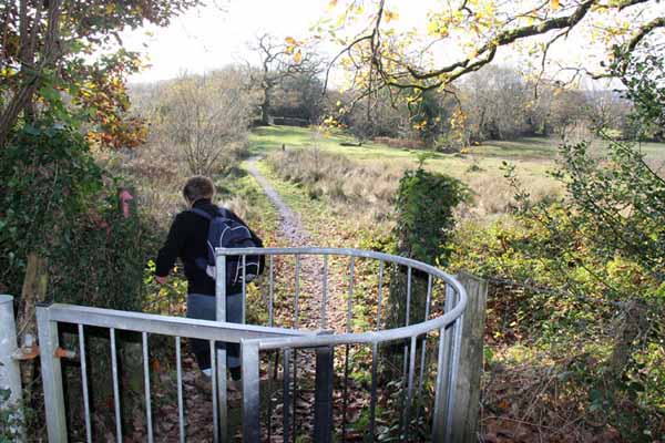 Photograph of Walking Route - Image 36