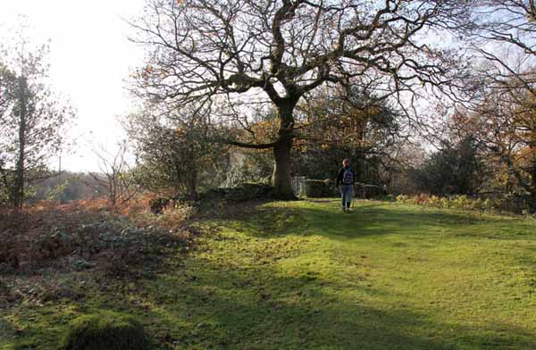 Photograph of Walking Route - Image 37