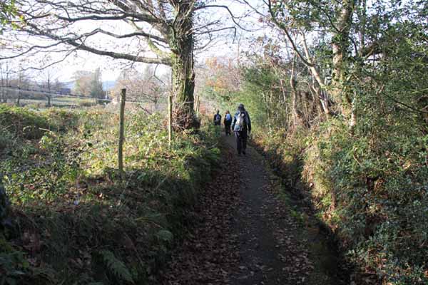 Photograph of Walking Route - Image 41