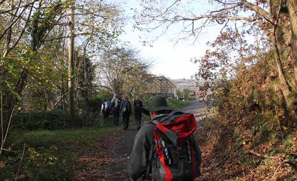 Photograph of Walking Route - Image 48