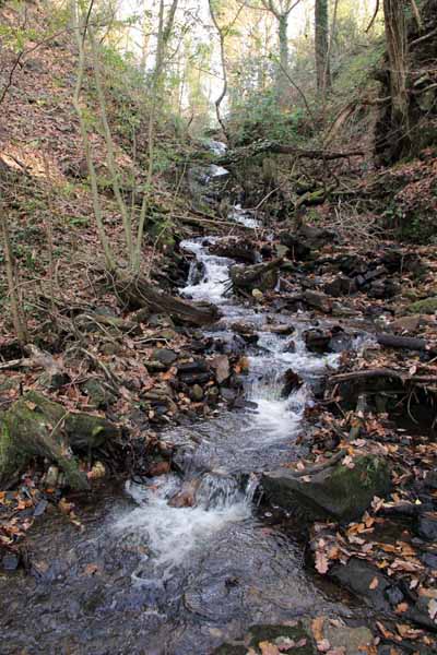 Photograph of Walking Route - Image 51