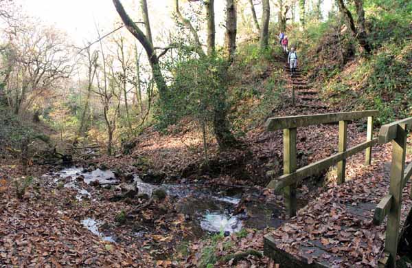 Photograph of Walking Route - Image 52