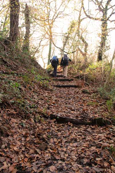 Photograph of Walking Route - Image 53