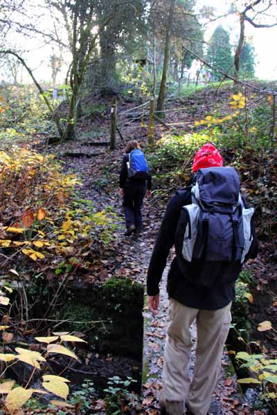 Photograph of Walking Route - Image 54