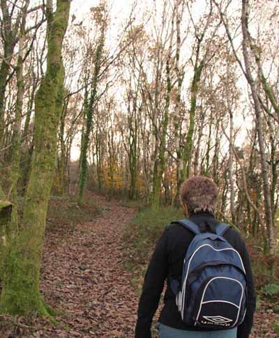 Photograph of Walking Route - Image 61