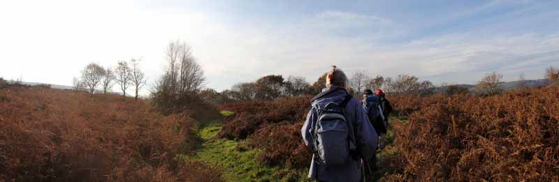 Photograph of Walking Route - Image 63