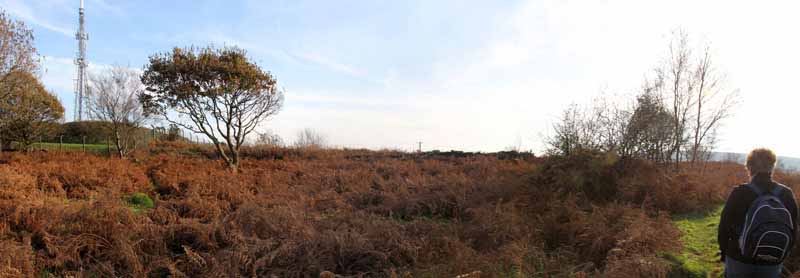 Photograph of Walking Route - Image 67