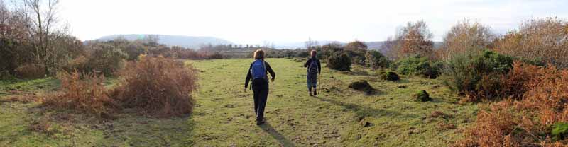 Photograph of Walking Route - Image 68