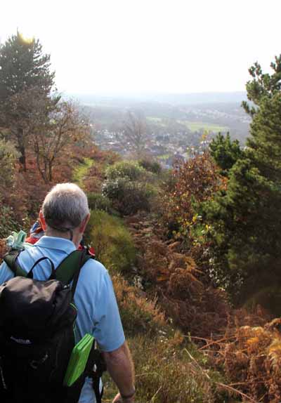 Photograph of Walking Route - Image 71