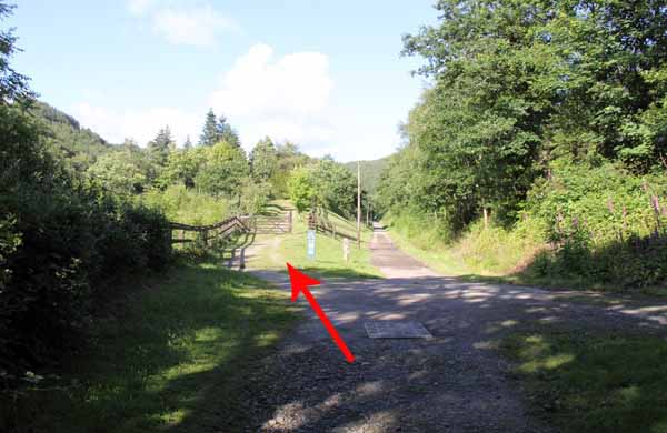 Photograph of Walking Route - Image 5