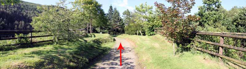 Photograph of Walking Route - Image 6