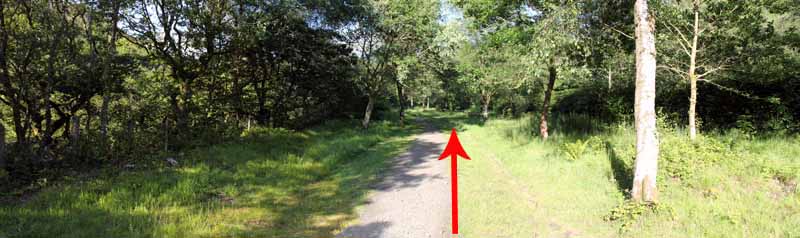 Photograph of Walking Route - Image 13