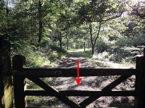 Photograph of Walking Route - Image 14