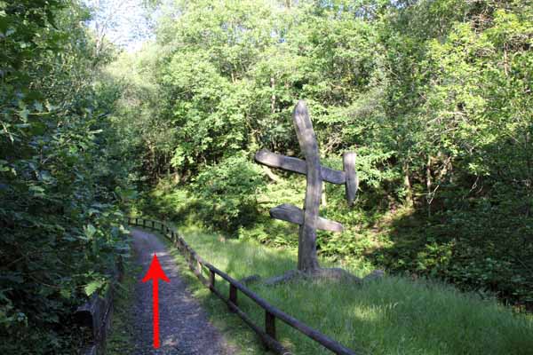 Photograph of Walking Route - Image 15